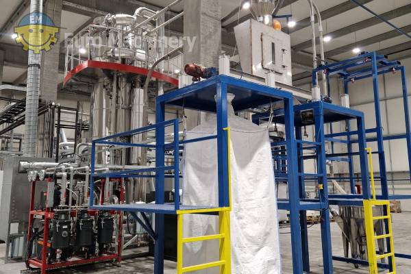 PET flakes decontamination and drying